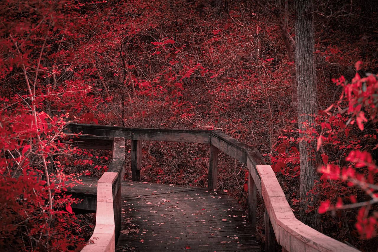 Park in Porter/New Caney, Texas