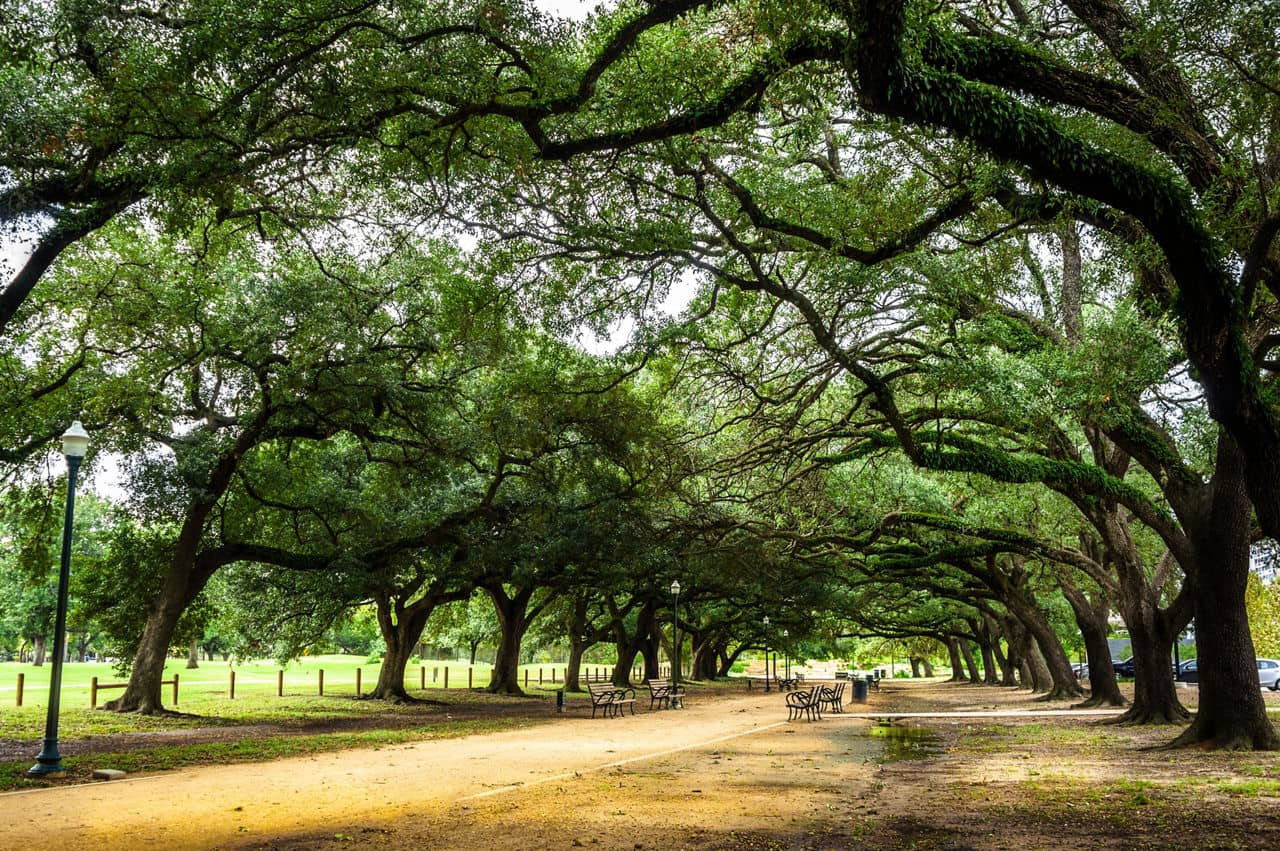 Park in the Spring Branch/Spring Valley neighborhood of Texas.